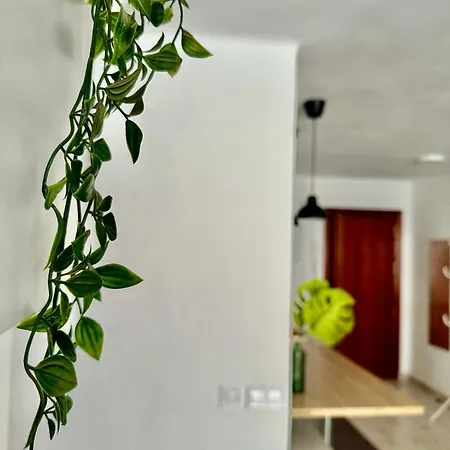 Acogedor En Apartment Malaga